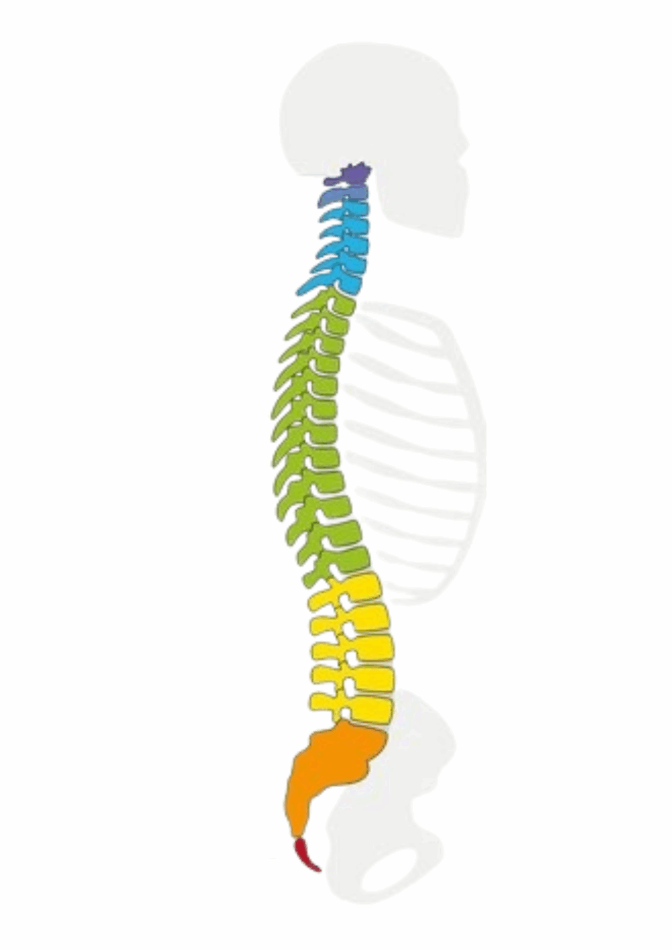 Rücken Qigong